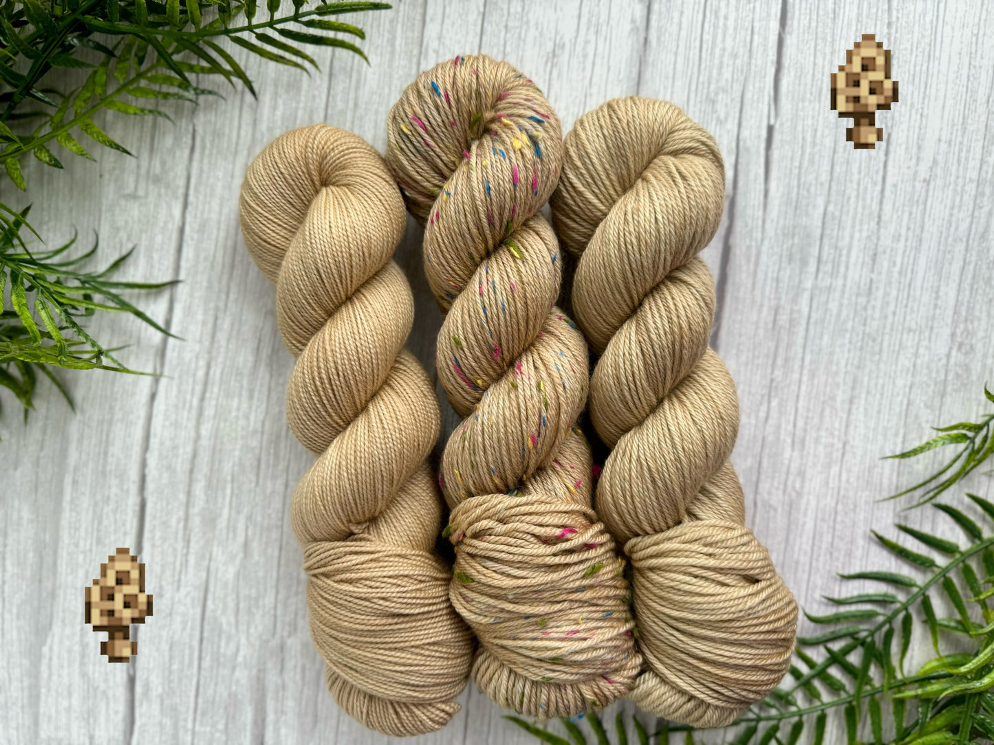Morel {Pre-Order}